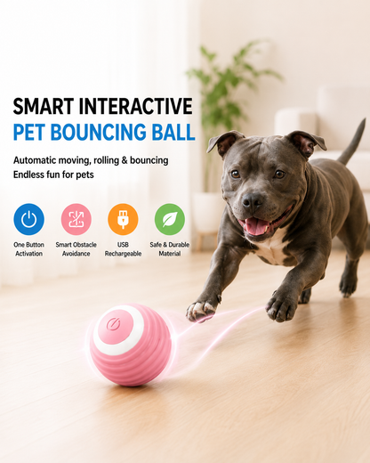 Motion Fun Automatic Pet Ball