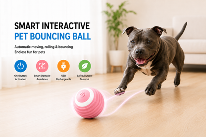 Motion Fun Automatic Pet Ball