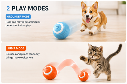 Motion Fun Automatic Pet Ball