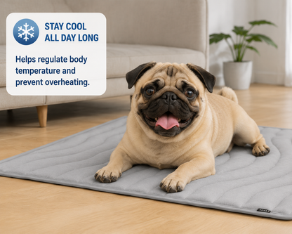Cooling Pet Mat for Dogs & Cats